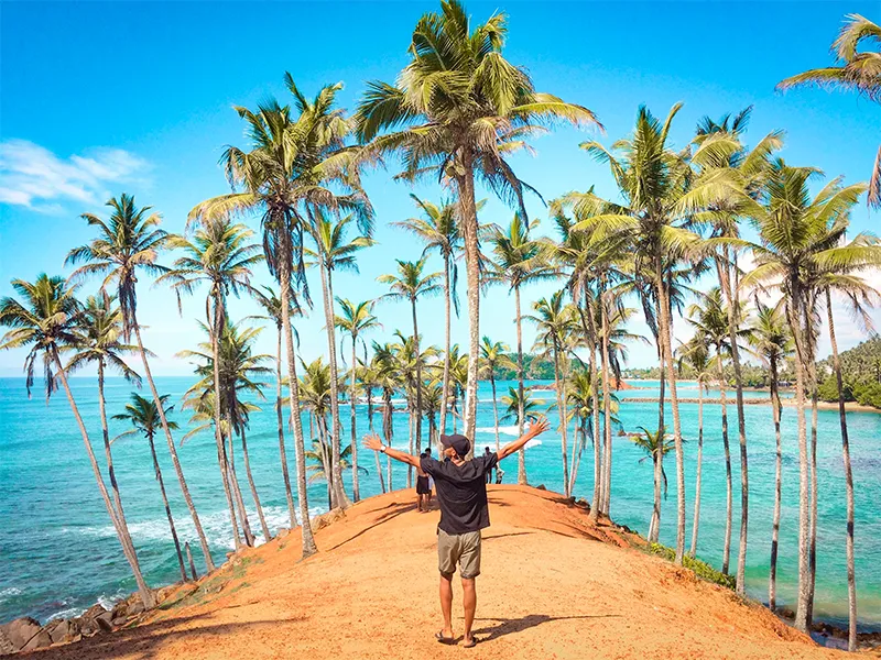 estiacoholidays Srilanka travel