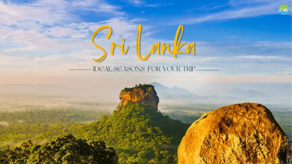 Best Time to Visit Sri Lanka: A Seasonal Travel Guide