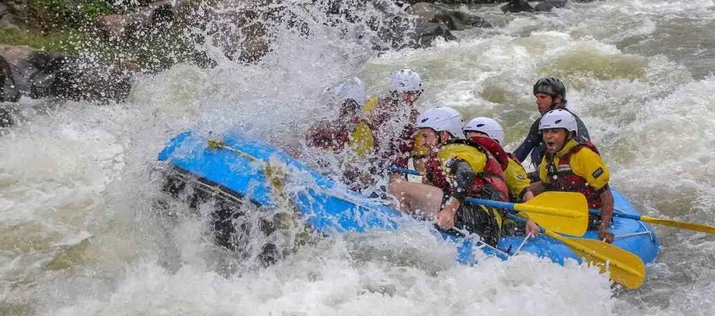 estiacoholidays Srilanka travel