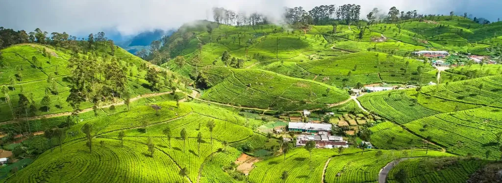 estiacoholidays Srilanka travel | Maldives hotel