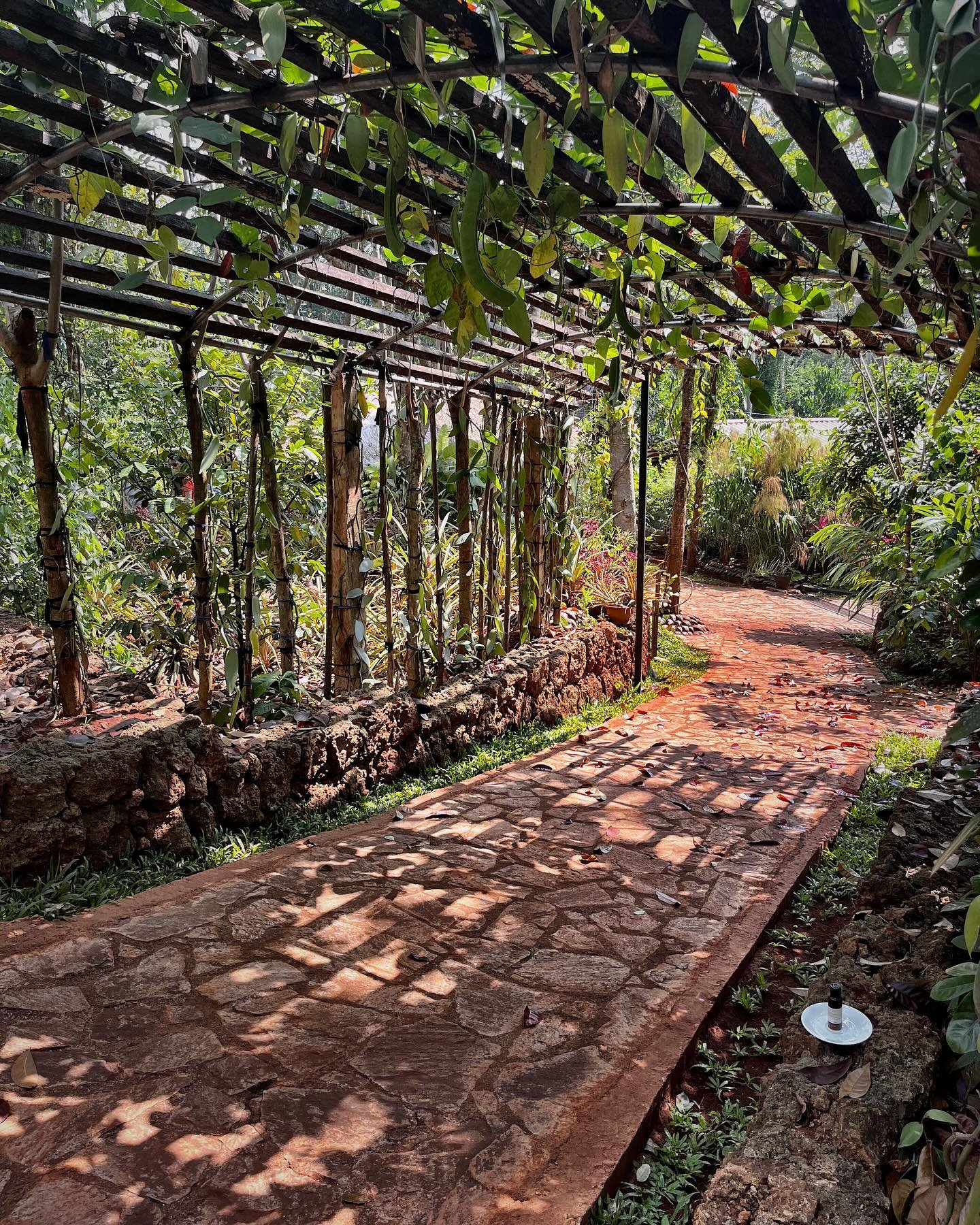 Matale-Spice-Garden