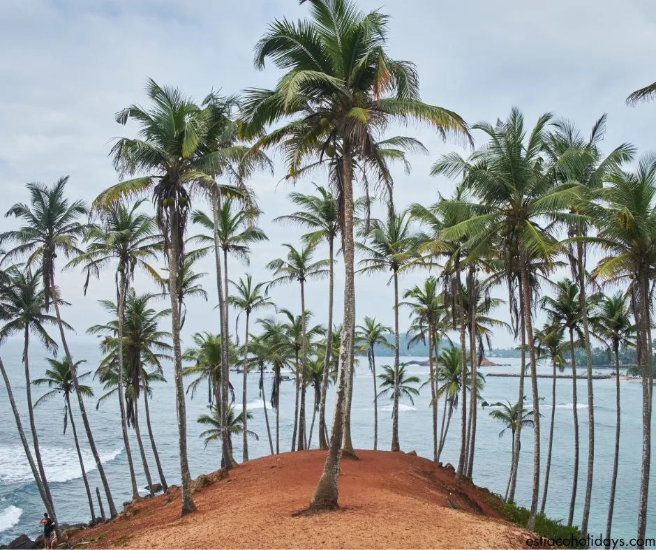 mirissa