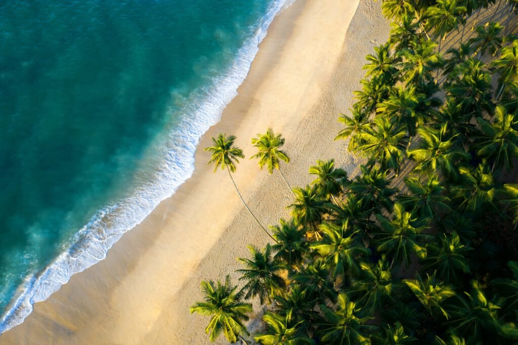 Aerial view of tropical beach with palm trees and turquoise ocean on Sri Lanka south coast holiday